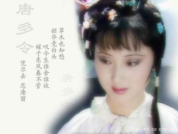 红楼梦群芳夜宴花语,红楼梦花语解读