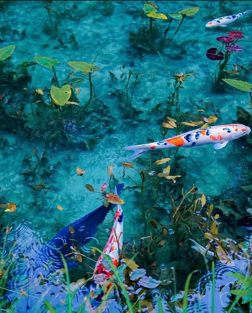 日本小众的好地方,日本最小众的地方