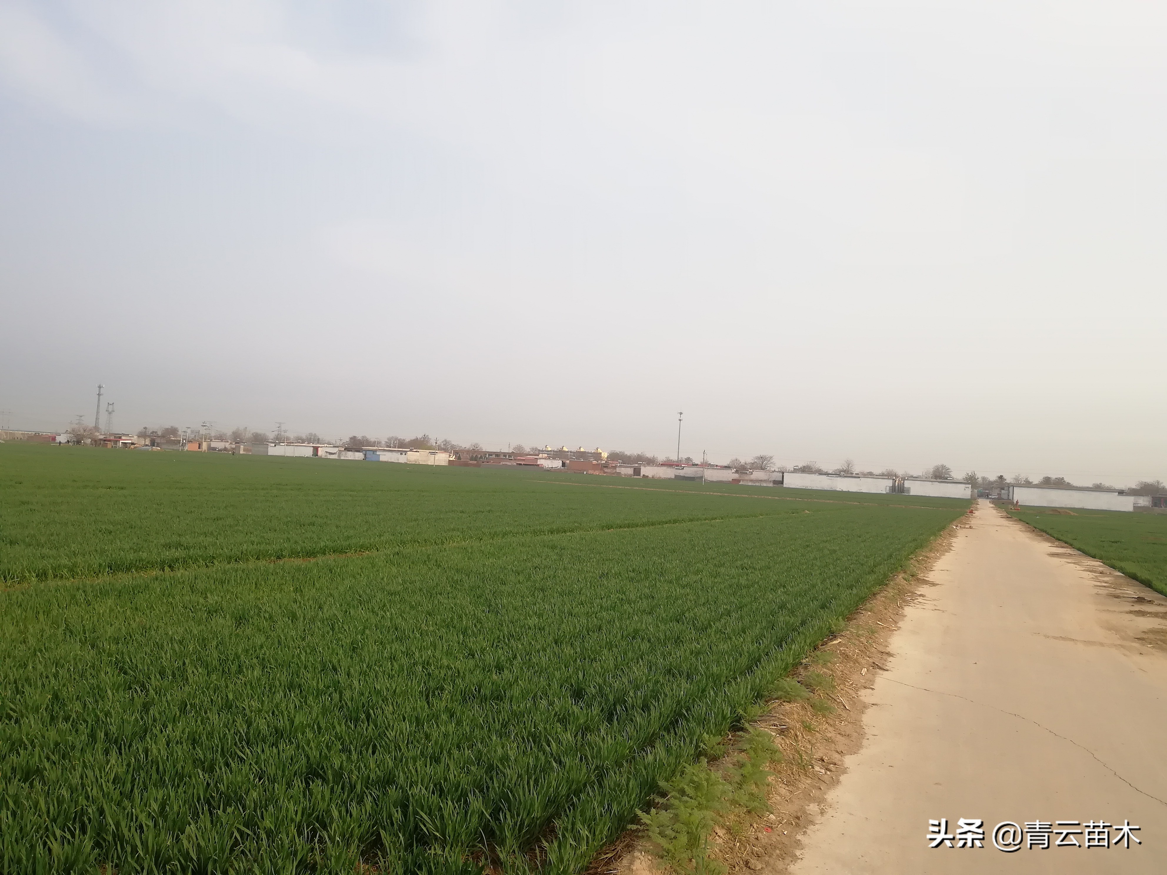 四十不惑后面是什么,四十不惑的不惑