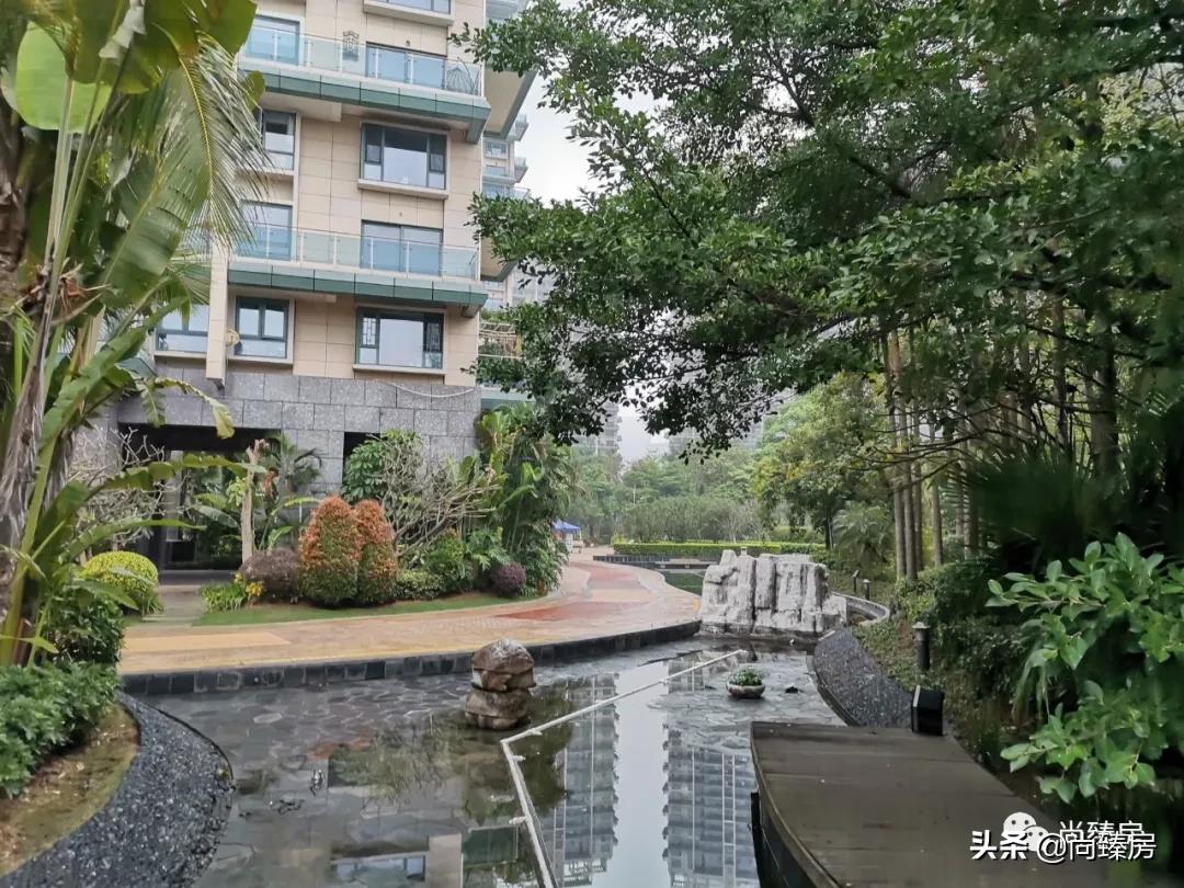 100多万人看过的房子,深圳湾三湘海尚别墅
