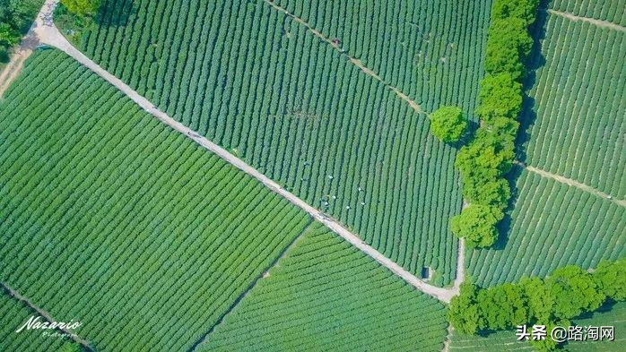 五一小长假结束再看一波各地美景,五一小长假去哪登山踏青看花好