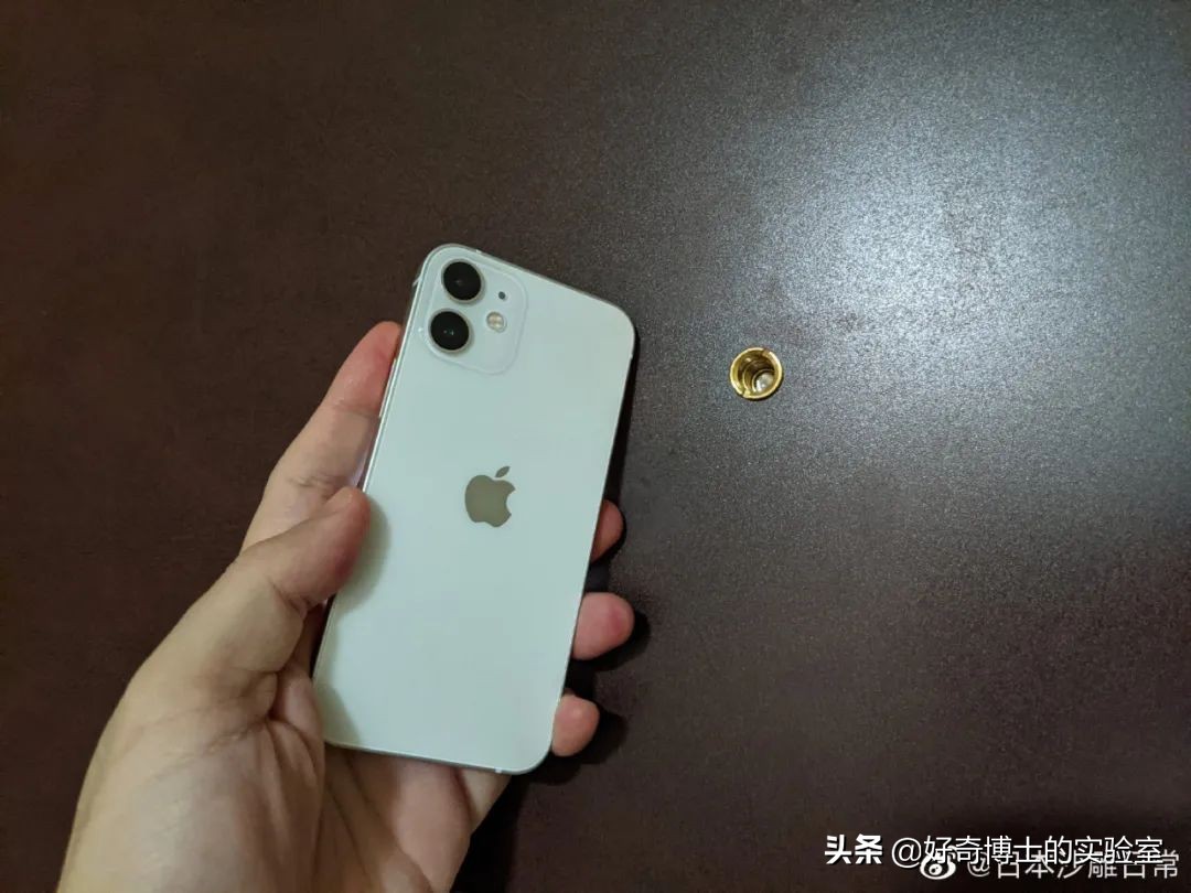 撸过猫撸过狗但你撸过“鱼”吗？