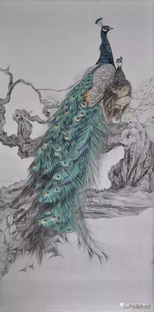 工笔孔雀上色步骤详解,工笔最顶级逼真孔雀画精品