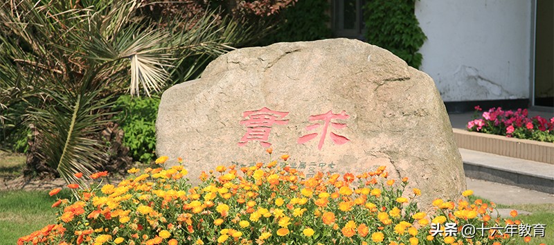 上海七宝中学高中升学率,上海名校介绍