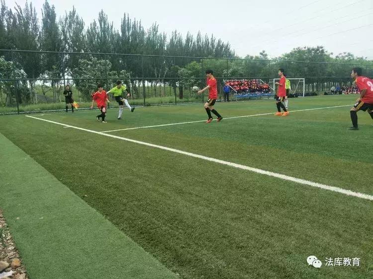 2019沈阳青少年足球联赛,2021沈阳市青少年足球联赛