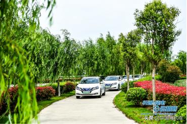 网约车东风日产,东风日产网约车