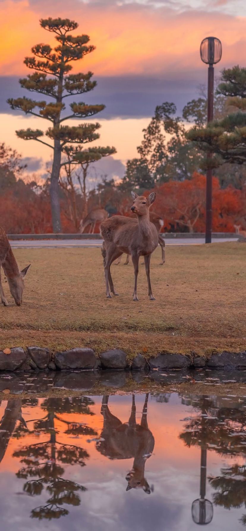 画质教程文字控清新,图片文字控清新可爱