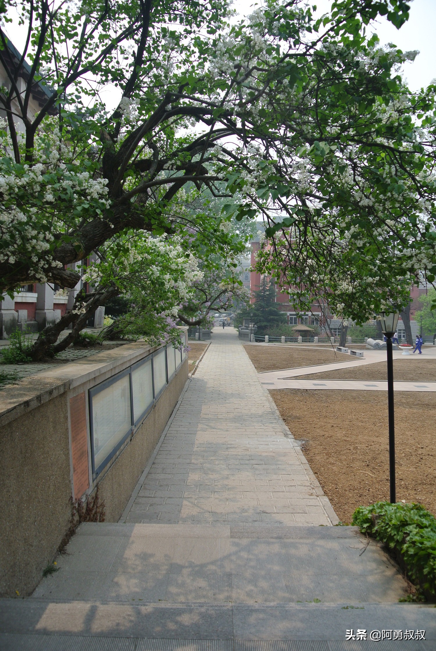 大连市第二十四中学内设机构,大连市第二十四中学金普校区