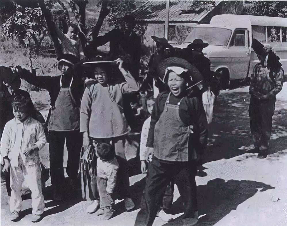 外网看深圳40年的变迁史,深圳特区40年光明变迁记