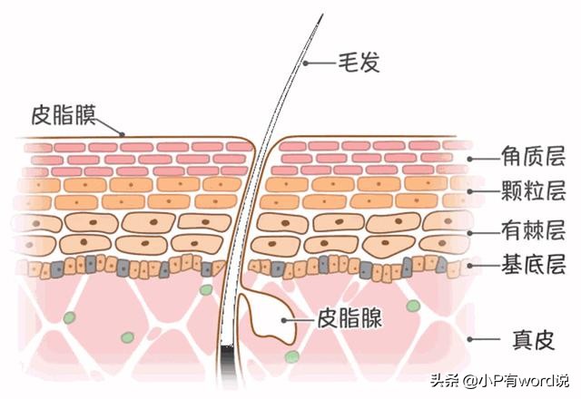 脸干能天天敷面膜么,你每天敷面膜就不怕吗