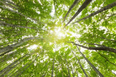 阳光向上有朝气的文字,阳光积极向上的字有哪些