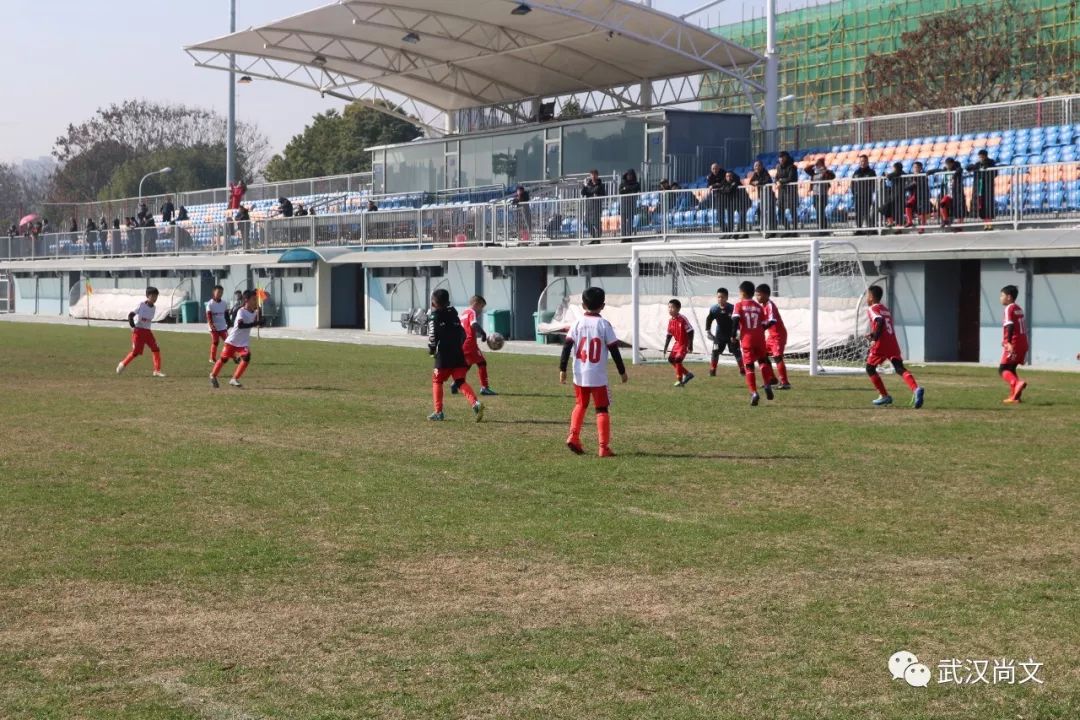 2020青训杯全国青少年足球冠军赛,2019育星杯比赛