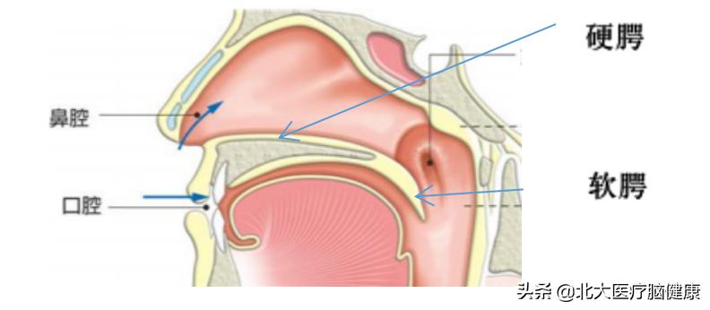 孩子怎么练习前后鼻音,怎样教孩子鼻音发声