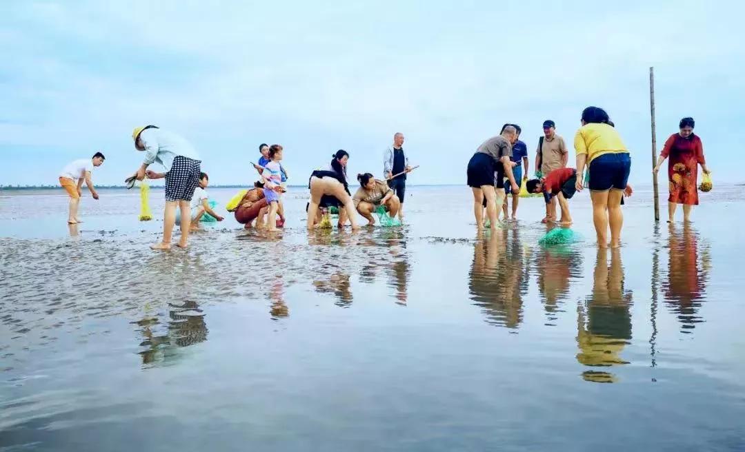 自带饭勺的鸟,自带勺子的小鸟