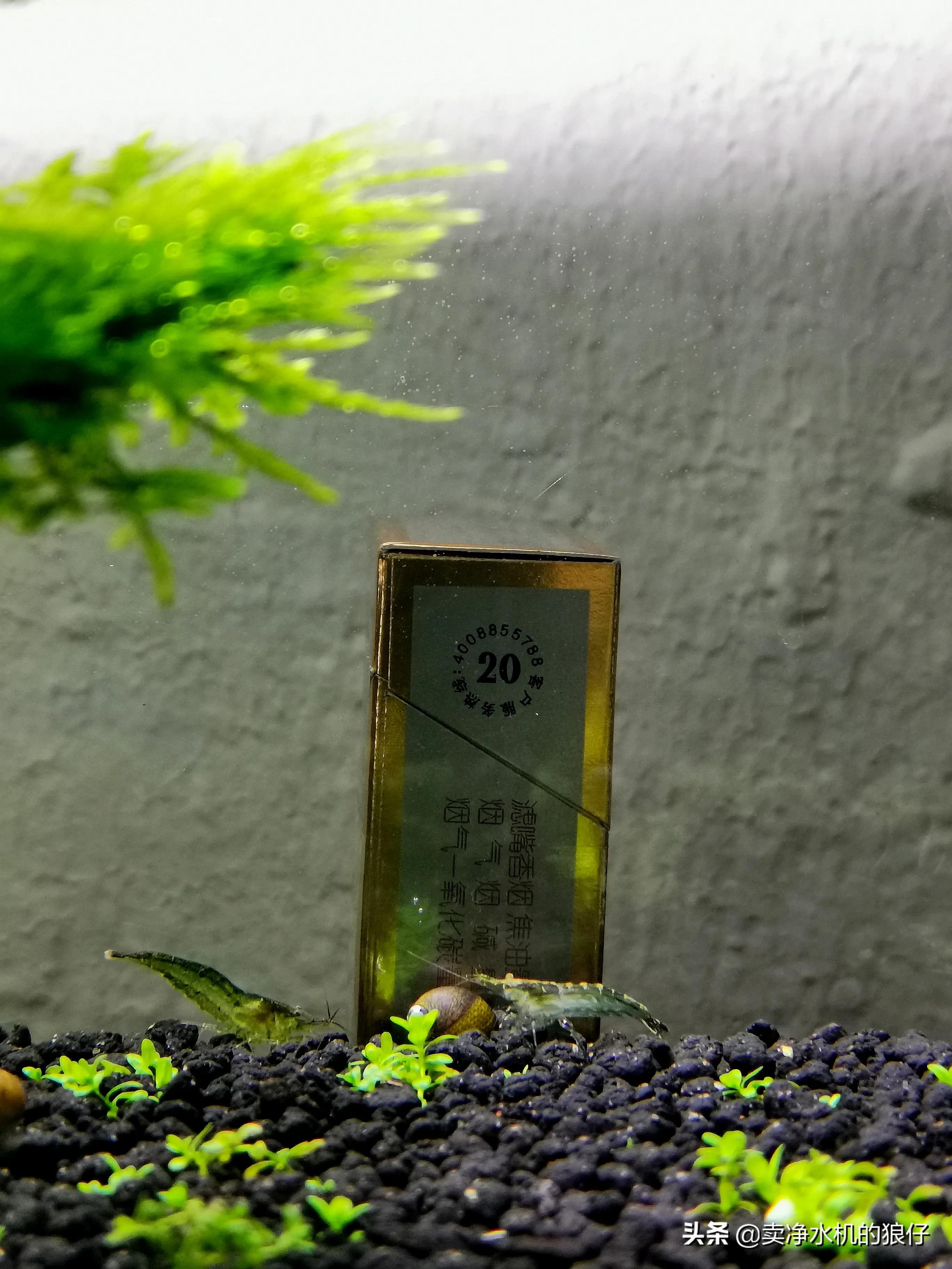 如何让小鱼缸变成空气缸,如何让鱼缸出现空气缸