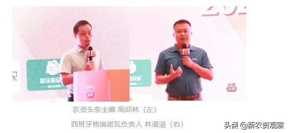 海南哈密瓜大市场,海南哈密瓜市场前景