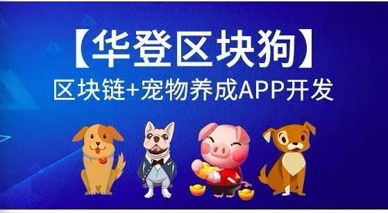 区块狗赚钱,区块链12生肖靠谱吗