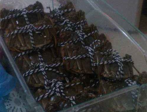 鲜活螃蟹如何储存,鲜活的海螃蟹怎么储存