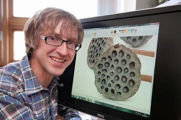 密集恐惧症是一种矫情,密集恐惧症被治愈了