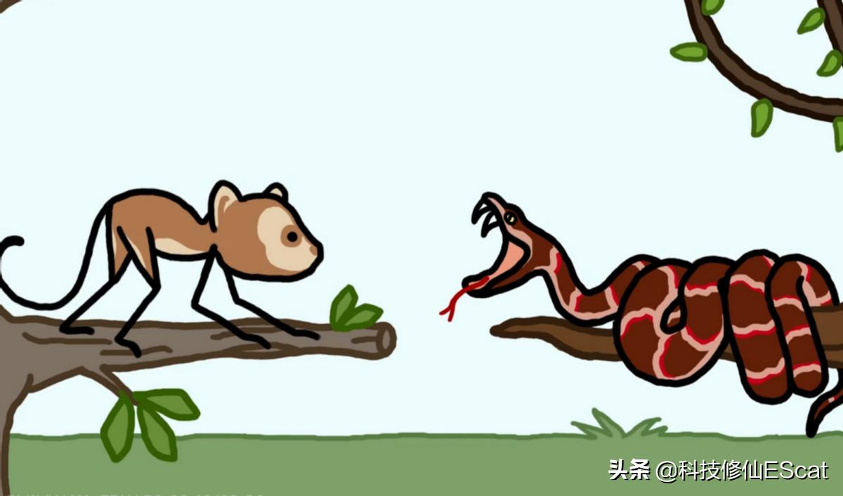 蟒蛇吃人国家赔钱吗,蟒蛇被抓为何会吐食物