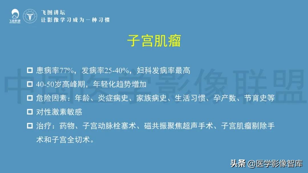 子宫解剖结构输卵管和卵巢位置,子宫附件ct影像学正常解剖表现