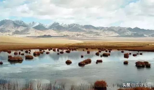 新疆若羌县祁曼塔格乡有多大,最大的县城若羌县