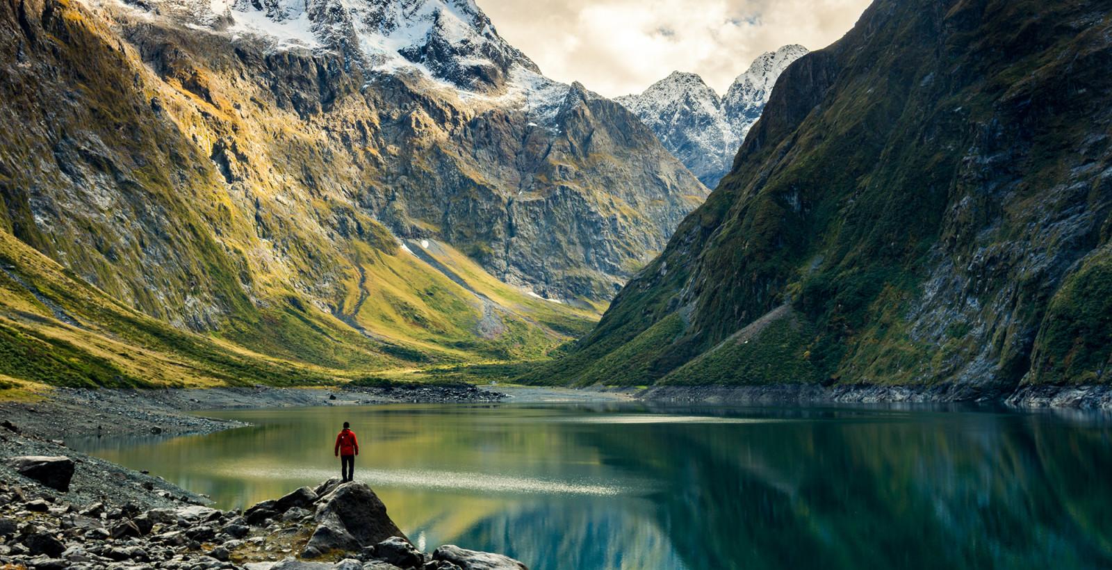新西兰生吃牛肉,新西兰可以吃牛肉