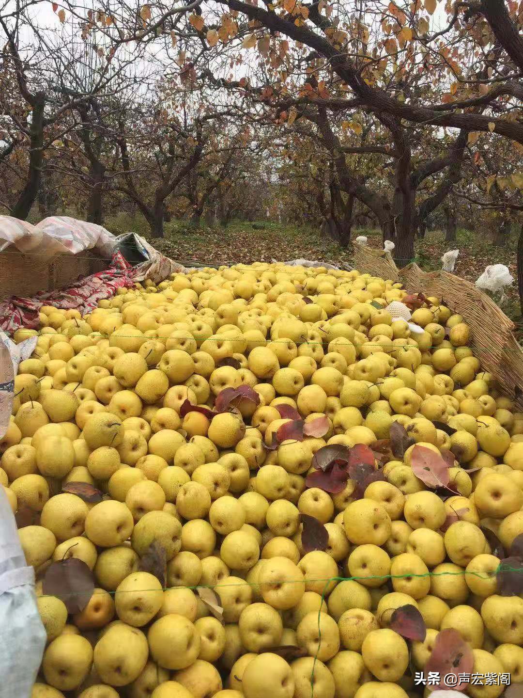 红楼梦给秦可卿开的药方的含义,红楼梦薛宝钗劝贾宝玉饮热酒