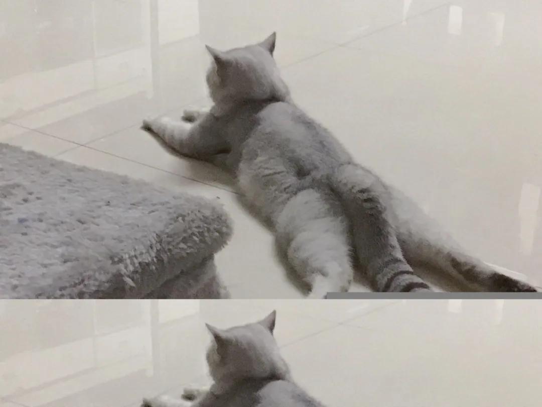 在闲鱼上碰到了前男友,闲鱼上如何找对象