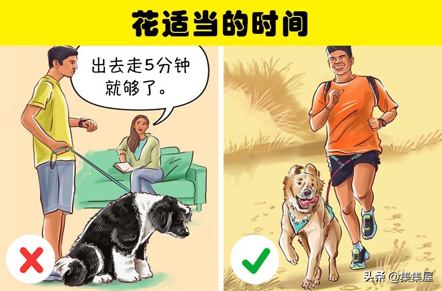 如何引导狗狗适应牵引绳,狗狗牵引绳太大了怎么办