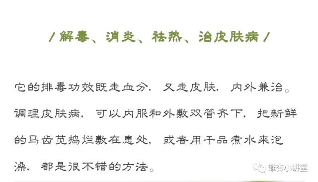 马齿苋专治白发是真的吗,马齿苋对白头发变黑有作用吗