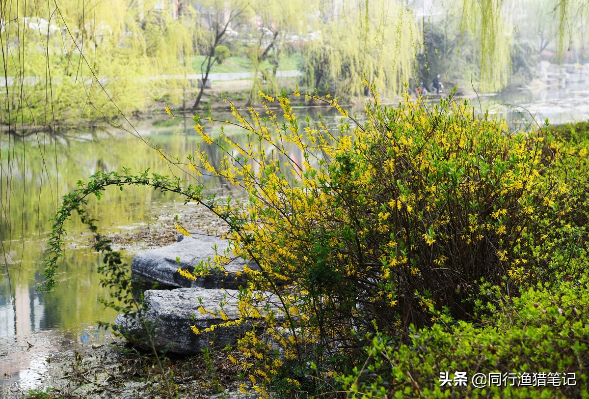 一位河北钓友眼中的山东钓鱼人是这样的，我不置可否，大家怎么看