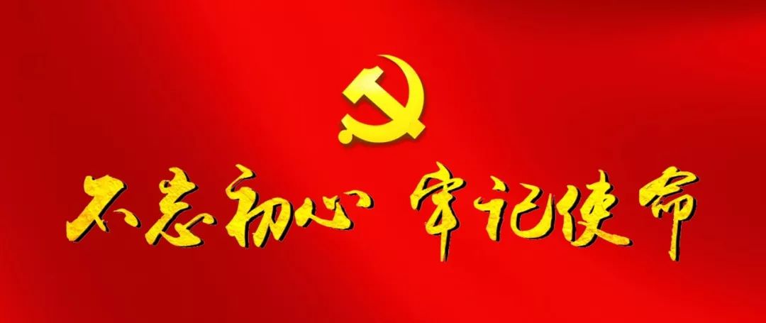 市委书记不忘初心牢记使命研讨会,领导参加基层专题组织生活会点评