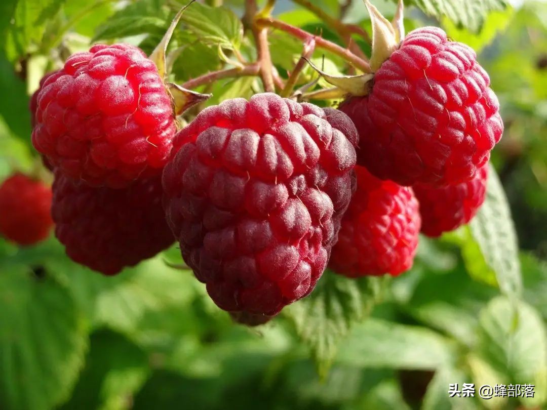 2021农村投资什么行业前景好,2019农村创业好项目投资小利润大