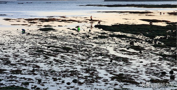 大连滨海路的美景之旅,大连海滨路旅游攻略
