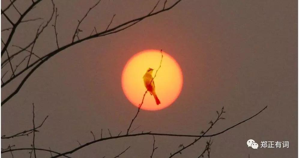 恶性胸腔积液到了最后会是怎样,恶性胸腔积液怎么减少