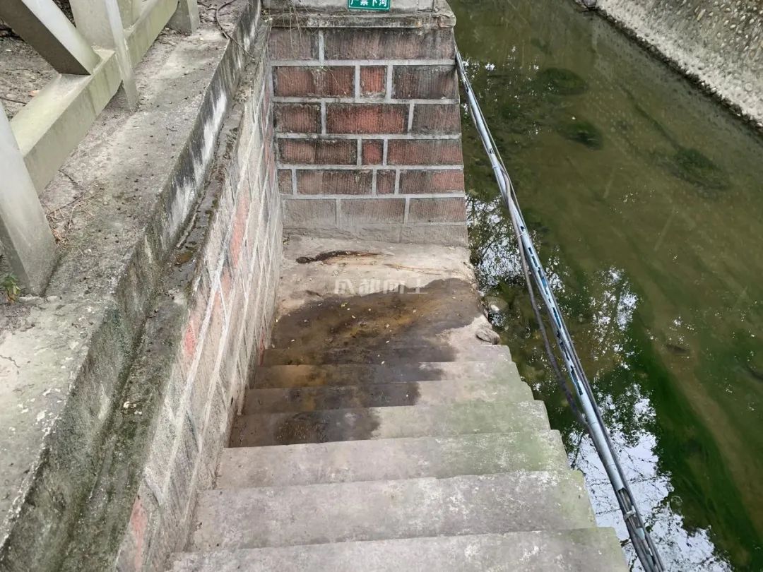 成都绿道风景美如画,成都周边哪条河边绿道最美