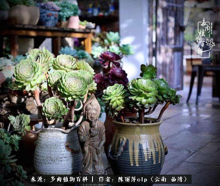 佛系看风景的地方,佛系风景空境视频