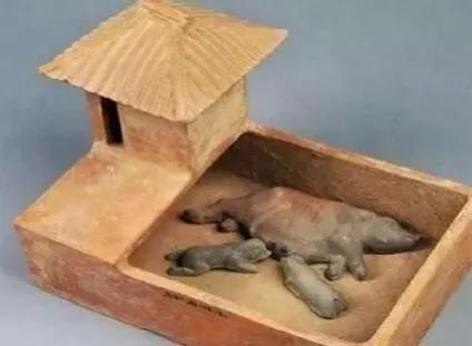 马桶的逆袭1到16集进化史,马桶的进化史1-68集