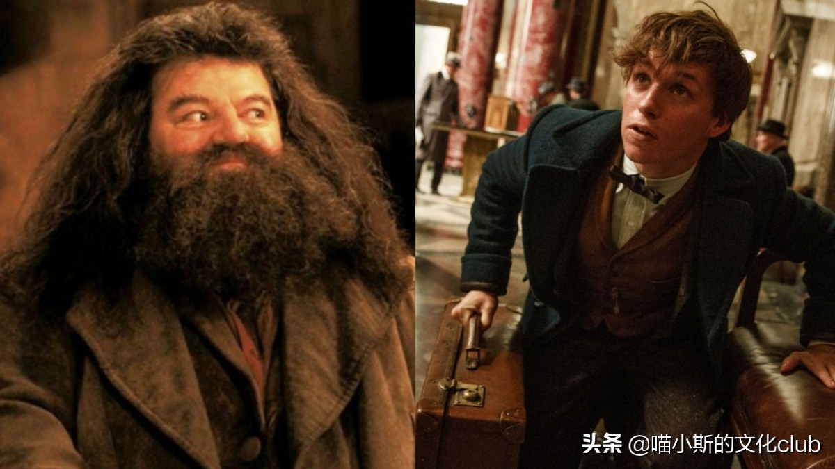 哈利波特：都是被学校开除，为什么纽特可以保留魔杖，海格不行？