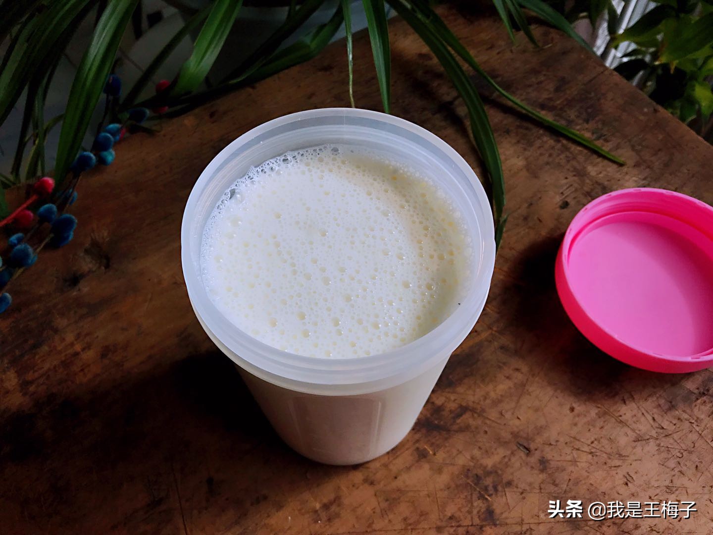 自制酸奶不凝固有发酵的味道,自己在家做酸奶没成功可以补救吗