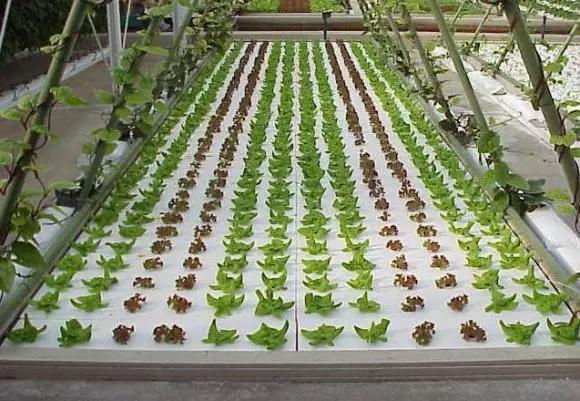 2023农村创业致富项目大全,2023年农村创业赚钱项目