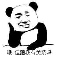 双十一现货猫粮,双十一猫粮预购