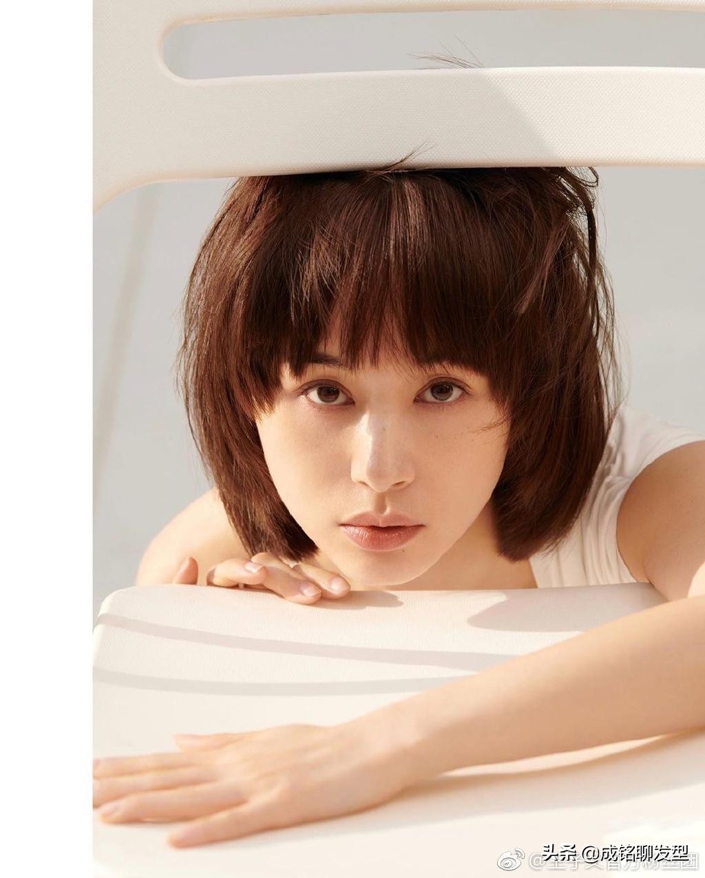 王子文欢乐颂里短发叫什么,王子文出席活动短发图片