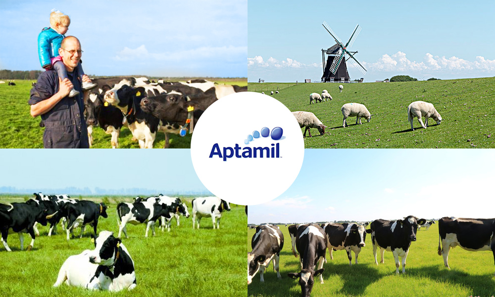 爱他美新生儿奶粉选哪个版本的,爱他美奶粉版本有什么区别