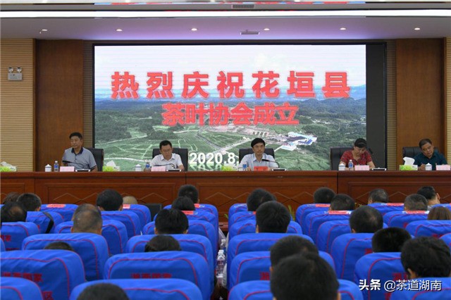 湖南十八洞黄金茶,十八洞黄金茶属于什么茶