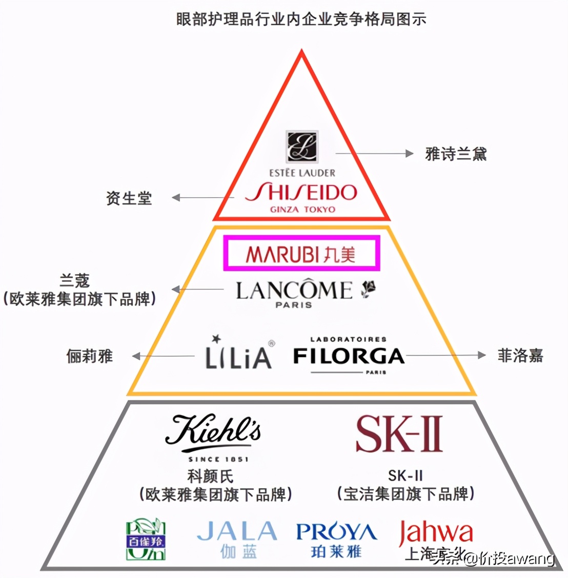 丸美股份现状分析,丸美股份胶原蛋白