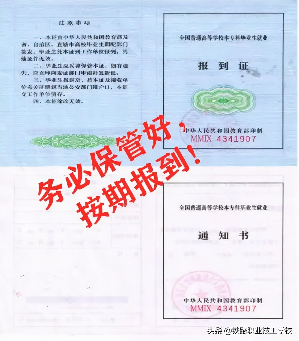 报到证作用及解读,报到证用途注意事项