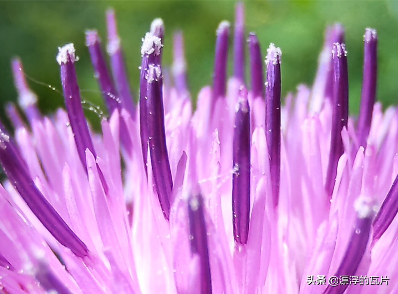 魅族17pro和oppofindx2pro,魅族17pro对比oppofindx2pro