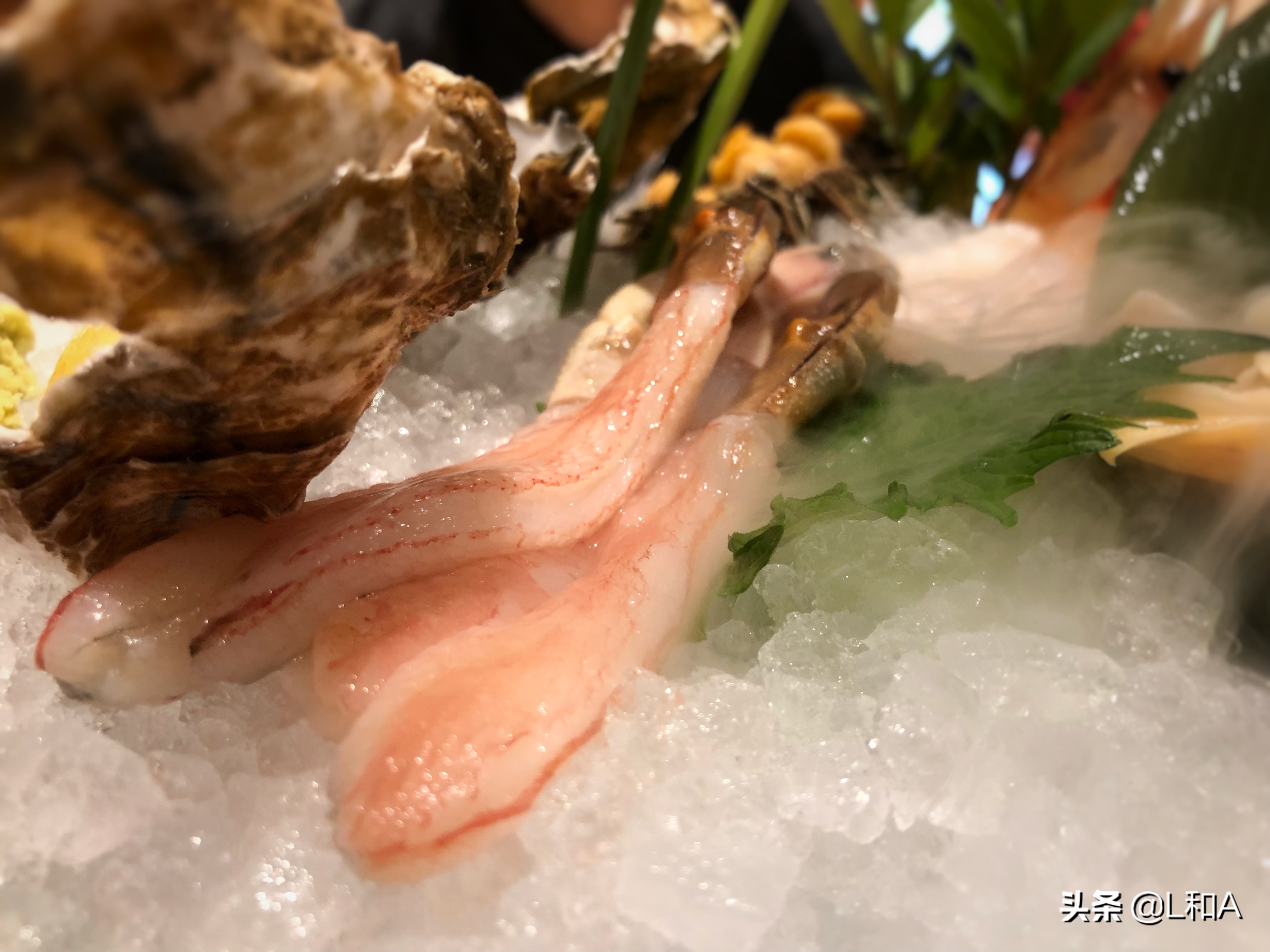 金鸡湖旁边的日料自助餐,苏州金鸡湖自助餐排名前十名